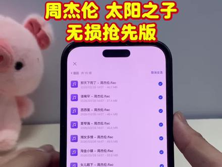 《小电精选》 周杰伦新专辑太阳之子无损抢先版 免费听 周董新专辑谁懂 #周杰伦新专辑 #周杰伦太阳之子 #淘金小镇 #西西里 #太阳之子周杰伦