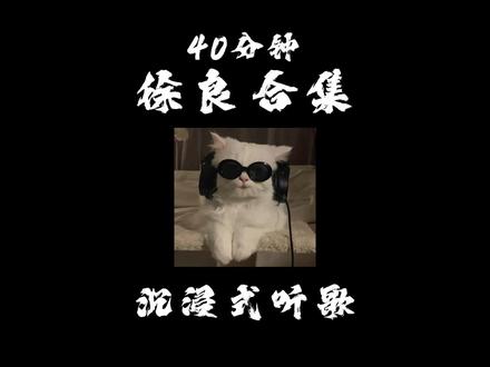徐良40分钟歌曲合集,你最喜欢哪首? #音乐 #音乐分享 #音乐推荐 #音乐治愈 #徐良