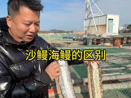 海边的一道美食你们吃了吗?#鳗鱼干