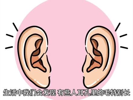 耳朵里面生毛是长寿的象征(纯属娱乐,仅供参考)