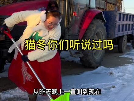 你们想来恩妮家体验东北的猫冬生活吗?#朝鲜族美食 #下雪了 #我的乡村生活 #乡村守护人 #新农人计划2022农村生活