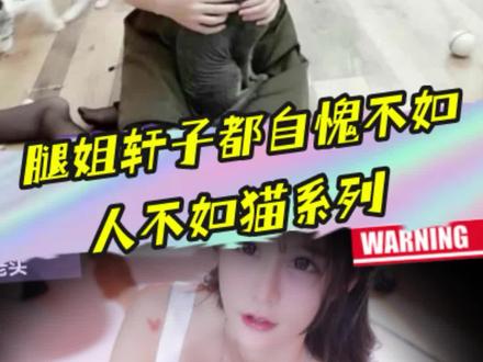 腿姐轩子都自愧不如,不二丸叽整活,网友:人不如猫啊 #女神 #女主播 #擦边 @不二丸叽