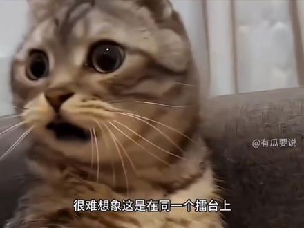 泉州酒吧发明商务拳击,引发热议。