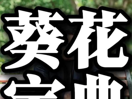 置顶的黄老板和白小姐干货课#黄老板和白小姐 #周三顾 #狗总