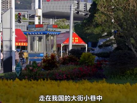 同样是保护环境,为何我国随处可见绿化带,注重环保的欧洲却没有? #上西瓜看知识 #绿化带 #保护环境