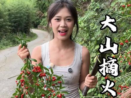 这个果子在你们那边叫什么 还认识吗 #火棘 #农村生活 #农村美食