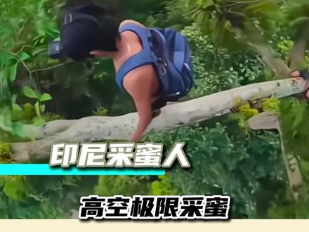 印尼采蜜人 高空极限采蜜 #万万没想到 #采蜜 #震撼 #工作 #印尼