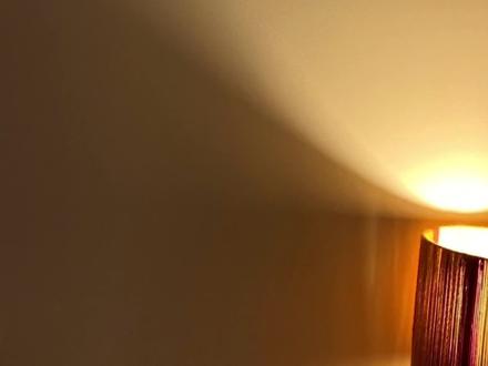 #猫耳FM #惹祸精 连天雪:我不养了!#广播剧