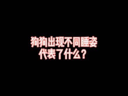 狗狗出现不同睡姿,代表了什么/#宠物 #萌宠 #家有萌宠 #狗