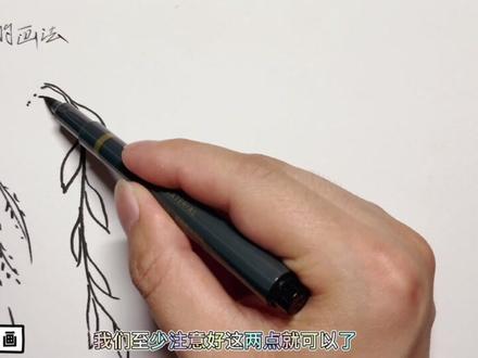 柳树怎么画?风景速写入门教程,植物系列技法学习