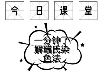 酶联生物小课堂-一分钟了解瑞氏染色法#科普知识 #科研狗的日常 #科学实验 #生物染色