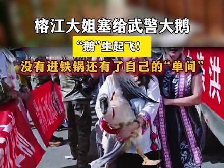 “鹅”生起飞!榕江大姐塞给武警的大鹅没有进铁锅,还有了自己的“单间”。