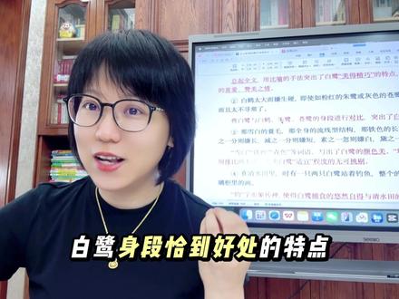 五年级《白鹭》6个必考点#语文