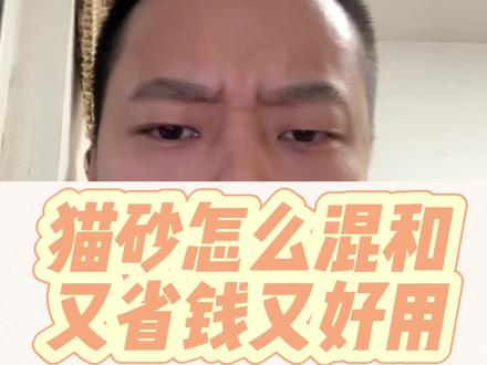猫砂怎么混和又省钱又好用#养猫新手 #养猫人 #科学养宠攻略