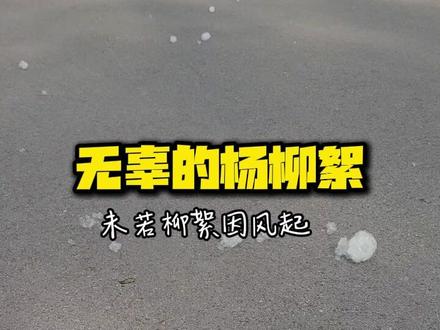 杨柳飞絮是个正常现象别反感 春天杨柳飞絮,太正常不过了,我们要学会与自然和谐相处吧 #杨柳絮 #春天景色 #柳絮过敏