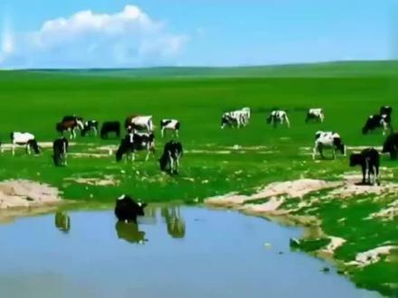 柔力球《呼伦贝尔大草原》:分段、正背面全套演示教程,包你学会