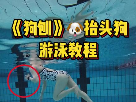 30秒教你学会轻松自如的狗刨式游泳!
抬头狗也算自由泳的一种,主打一种安逸自由。
1️⃣同手同脚一起刨
2️⃣双手划水不要露出水面
3️⃣身体在水平面保持水平
4️⃣躯干放松不要僵硬
狗刨式游泳,你学会了吗?
#游泳 #学游泳 #狗刨式泳姿 #防溺水 #夏天该有的样子