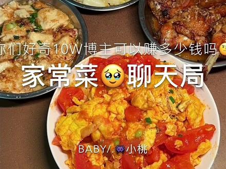 揭秘10w粉丝收入有多少 没错,就只有这么点😅#家常菜