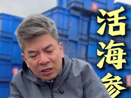 海参是个很神奇的生物#蓝珊瑚海鲜 #海参 #随手礼 #济南