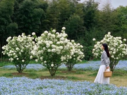 【哩布教程】把随手一拍做成治愈系动态海报
#AI视频 #海报设计 #动态海报 #哩布哩布 #liblib