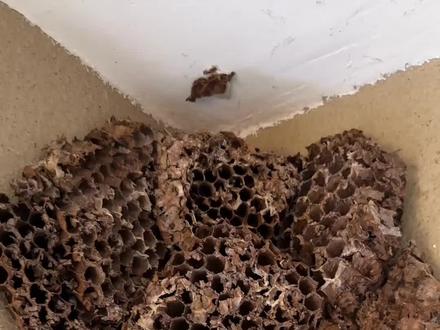 酱油白米饭#搞笑视频#一定要看到最后哦!@DOU+小助手