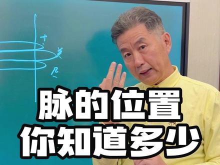 脉的位置,你知道多少?#传统文化 #中华文化 #中医