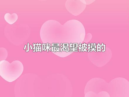 你知道猫咪喜欢被摸的6个部位是哪里吗?(下集)#萌宠 #知识分享 #猫