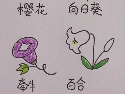 这些小花简单又好看,学会了技惊四座。@抖音小助手 #画画 #简笔画 #樱花#向日葵#牵牛花#百合#手绘 #亲子