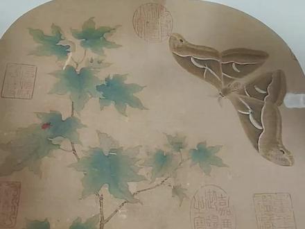 《青枫巨蝶图》