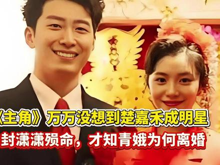《主角》万万没想到楚嘉禾成明星、封潇潇殒命,才知青娥为何离