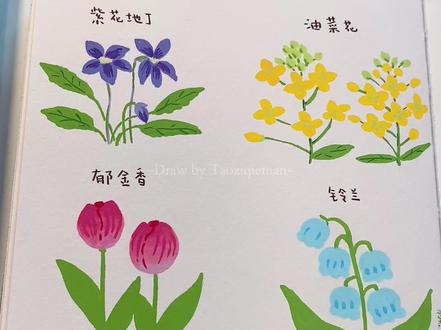 🌸用括号画8种春日小花,一起来试试吧 #丙烯马克笔#春天的色彩#春天请你画朵花#零基础学画画#恩米丙烯马克笔