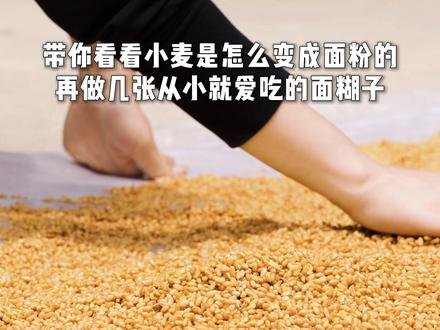 带你们看看小麦是怎么变成面粉的,用它做几张从小就爱吃的面糊子 #小麦磨面粉 #面糊子饼#面食 #新农人计划2025