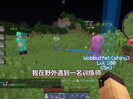 宝可梦生存26:哲尔尼亚斯实力太强了,我必须抓一只