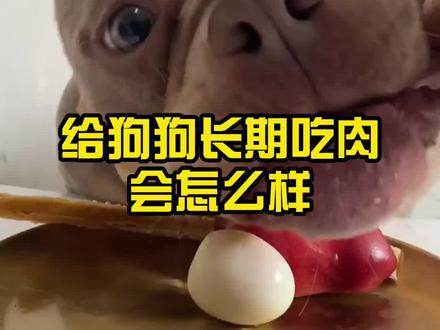 给狗狗长期吃肉会怎么样#狗狗 #萌宠 #毛孩子的日常 #狗狗喂养 #狗狗吃饭