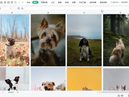 excel转pdf格式,表格图片转pdf后格式排版乱了不正常怎么办? #excel表格 #excel转pdf