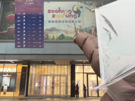 超长雨季的长沙能去哪玩? #长沙zoolung大型室内动物园 #王校长的动物园 #长沙下雨包月 #长沙旅游攻略 #周末去哪玩