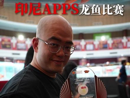 老周带你看印尼APPS龙鱼比赛 #壹遇龙鱼 #老周说鱼 #龙鱼比赛