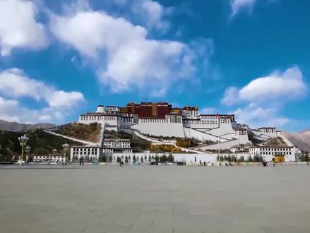 #ae教程 AE大神制作鲸鱼在空中翱翔