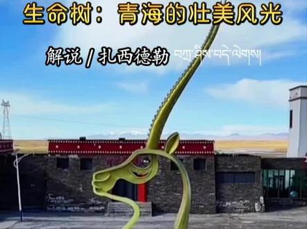 🔥追《生命树》,才懂大西北的浪漫!🌲
这里是青海,是故事开始的地方。
看雪山⛰️静默,看湖泊湛蓝,
这里是离天空最近的城市,也是灵魂栖息的旷野。
来青海吧,
在苍茫天地间,种下属于你的那一棵“生命树”。✨
📍定位:青海
#生命树超燃bgm来了 #可可西里自然保护区 #生命树 #朗读者扎西德勒 @青海文旅 @可可西里生态保护协会 @青海旅能国际旅行社有限公司