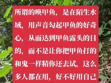 #李明打甲鱼教学 所谓的唤甲鱼。
