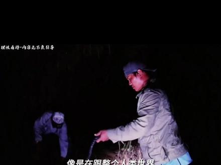 人类历史上活着的最大鳄鱼“ 洛龙”咬合力堪比史前巨兽#科普一下 #神奇动物在抖音 #洛龙 #抖音精选