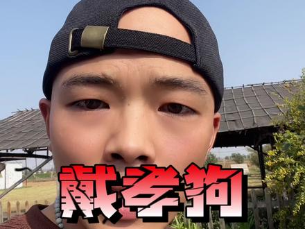 戴孝狗真的不好吗?#养狗经验分享 #狗狗 #养宠进阶指南 #新手养狗 #养狗人