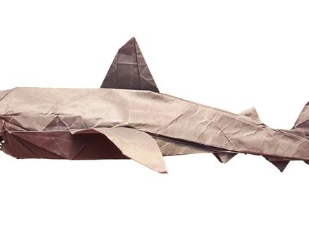 超复杂系折纸作品-大白鲨折纸教程(第五部分) #手工 #diy #折纸