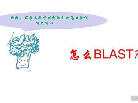 【科研干货】-如何使用BLAST验证引物是否可用