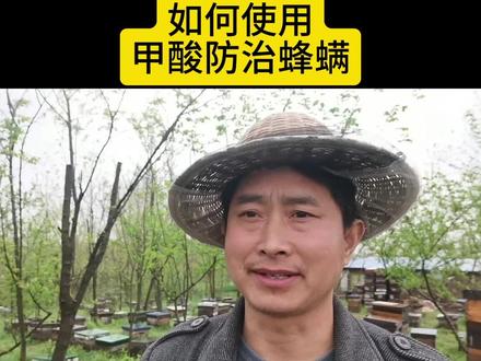蜜蜂防治蜂螨如何使用甲酸 #养蜂技术 #养蜂 #养蜂人 #蜜蜂养殖 #养蜂日记