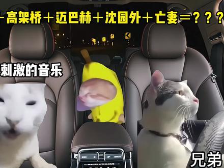 不分敌我一穿七,全都给我忆亡妻#沈园外dj #猫meme