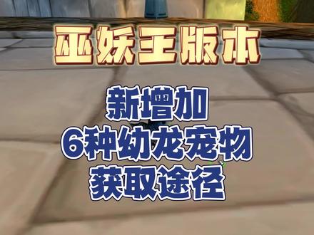 巫妖王版本新增加6种幼龙宠物获取途径 #魔兽世界怀旧服 #巫妖王之怒 #巫妖王之怒怀旧服 #我们比你们多一个
