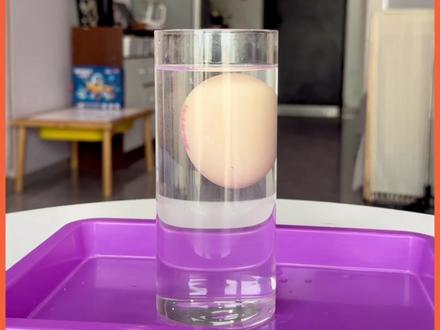 🔥鸡蛋居然能悬浮?这个科学实验娃看傻眼!#科学实验 #科学启蒙 #科学科普 #亲子互动