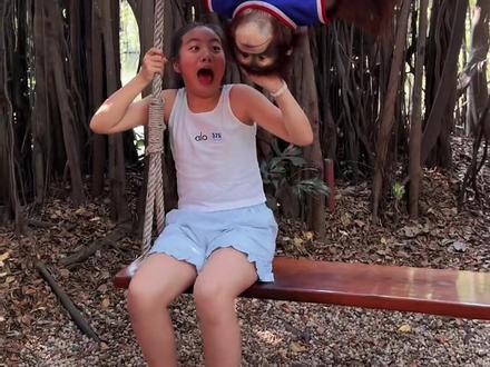 大猩猩曼谷#人与动物和谐共处 ##户外搞笑 #高难度动作