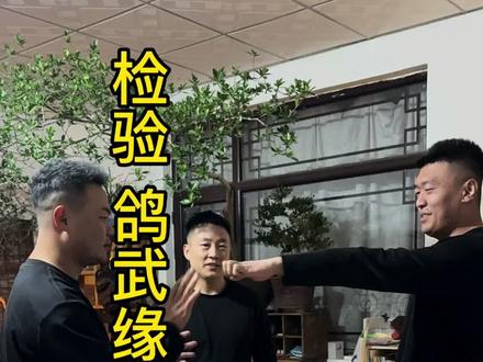 传武杀人技#传武 #功夫 #鸽武缘 #赵鸿刚 #通背拳 @赵鸿刚 @鸽武缘 @拳王上司 @陈阔 @马嘉文 MMA强盛体育 @